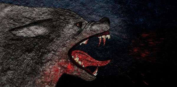 Wolf Image by Gunnar Creutz, Falbygdens museum, (CC BY-SA 3.0)